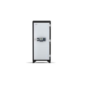Godrej Centiguard 1060 (169L) Digital Home Locker