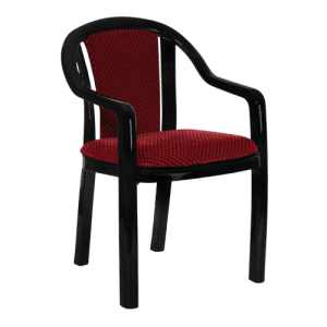 Ornate Plastic Chair With Cushion